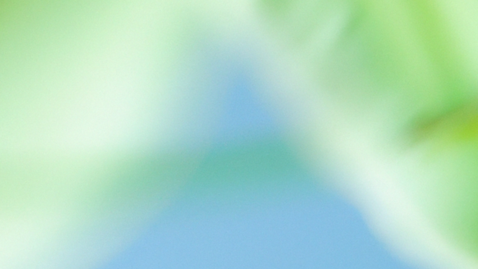 OpenAI official graphic for Scaling Trusted Access program for cyber defense